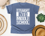 Straight Into Middle School Light Print in Blue Jean Comfort Colors 1717 tee