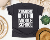 Straight Into Middle School Light Print in Graphite Comfort Colors 1717 tee