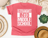 Straight Into Middle School Light Print in Watermelon Comfort Colors 1717 tee