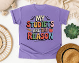 My Students Are The Reason Grey graphic tee in Violet