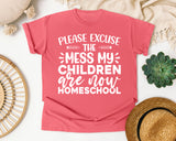 Please Excuse The Mess My Children Are Now Homeschool graphic tee in Watermelon