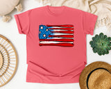 Baseball Bats American Flag graphic tee in Watermelon
