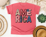 America Grey 5 graphic tee in Watermelon