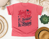 Land Of The Free Because Of The Brave Grey 2 graphic tee in Watermelon