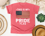 This Is My Pride Flag graphic tee in Watermelon