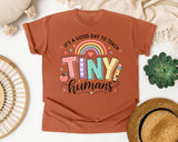 Its A Good Day To Teach Tiny Humans graphic tee in Yam