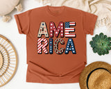 America Grey 5 graphic tee in Yam