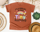 Its A Good Day To Teach Tiny Humans Pastel graphic tee in Yam