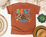 Best Dad Ever Grey 3 graphic tee in Yam