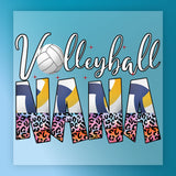 a volleyball and the word "NANA" in a stylized, colorful design.