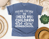 Homeschool Mess Graphic Tee on Comfort Colors 1717 Blue Jean garment-dyed t-shirt