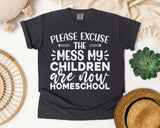 Homeschool Mess Graphic Tee on Comfort Colors 1717 Graphite garment-dyed t-shirt