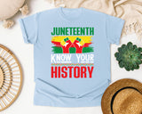 Chambray Comfort Colors t-shirt