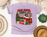 Dear Santa Send Books graphic tee in Orchid Comfort Colors 1717